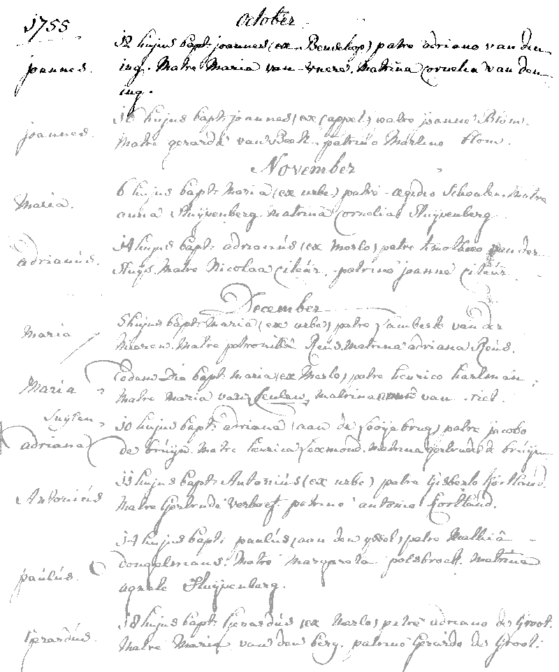 17551012 DTB dp RK-IJ'stein Joannes zv A vd Ing - M v Vuere